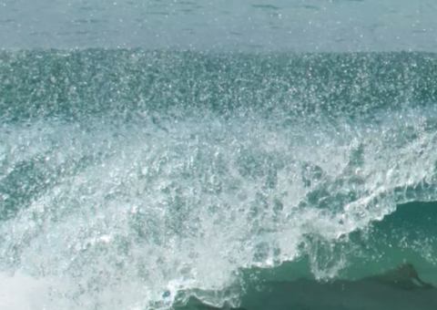 Tubarão é fotografado 'tirando onda' em praia de Fernando de Noronha