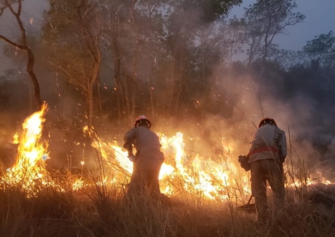 Ibama paralisa combate a incêndios florestais e denuncia Governo