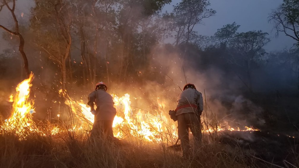 Ibama paralisa combate a incêndios florestais e denuncia Governo