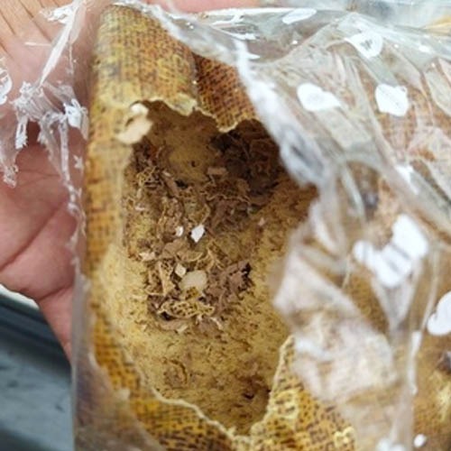 Fezes de rato em panetones na promoção viram caso de polícia em SP