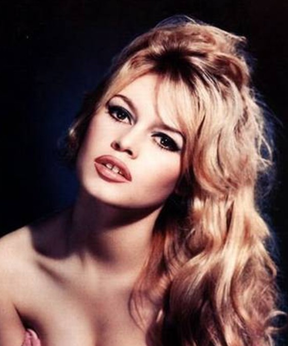 Brigitte Bardot: de símbolo sexual à condenada por crimes de ódio