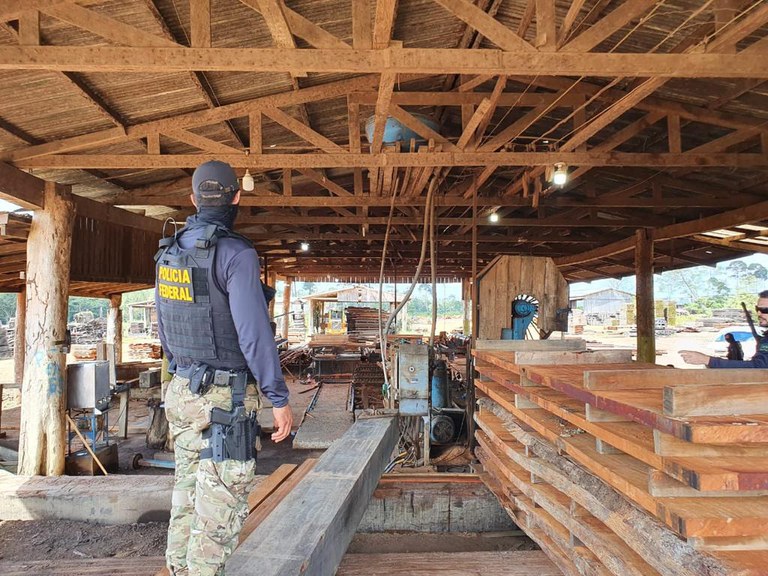 PF faz operação para apurar ilegalidades em serrarias do Amazonas