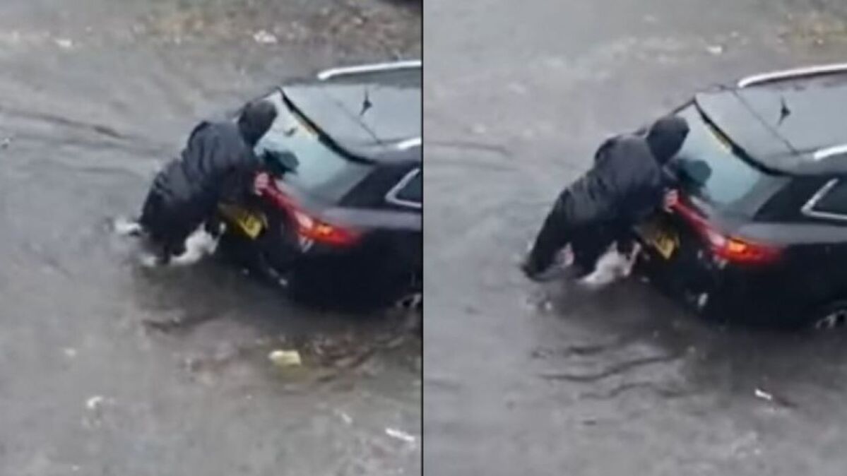 Cachorro ajuda dona a empurrar carro durante forte chuva; Confira o vídeo 