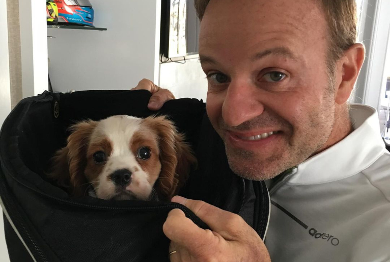 Cachorro de Rubinho Barrichello morre após comer 11 bitucas de cigarro