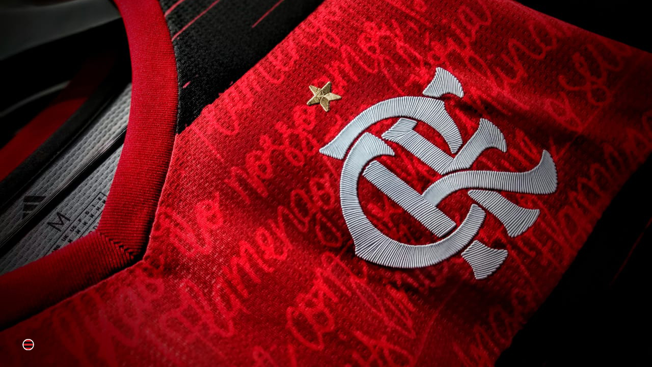 Flamengo vai pedir a paralisação do Campeonato Brasileiro 