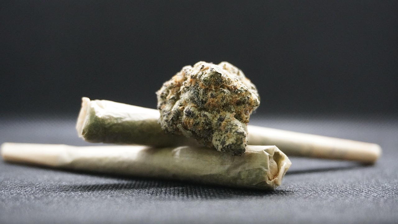CNJ analisa resolução sobre porte de maconha que libera adolescentes de infração administrativa