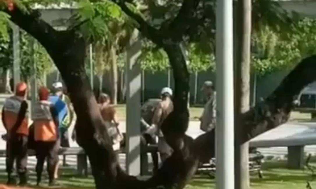 Mulher é atacada por capivara enquanto passeava com cachorro; vídeo
