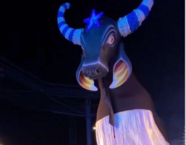 Bumbá Caprichoso fará pocket show no Hemoam nesta quinta