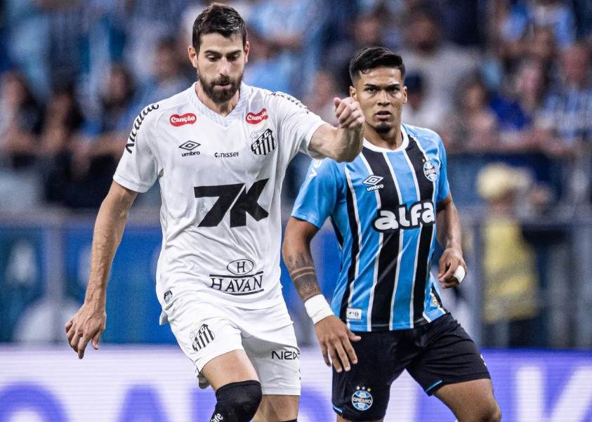 Santos x Grêmio pelo Brasileirão: onde assistir, estatísticas e escalações
