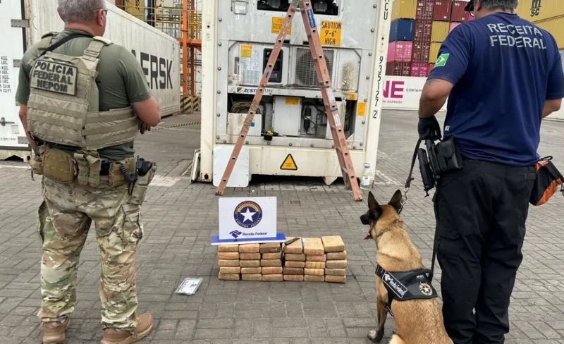 PF apreende drogas em contêiner de açaí que iria para a Austrália
