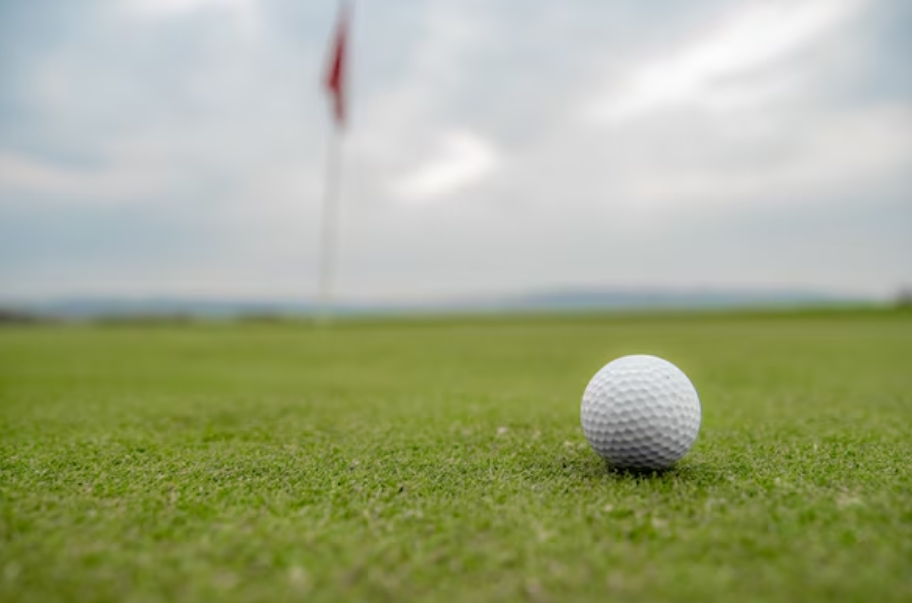 Mergulhador fatura milhões recuperando bolas de golfe que caem na água