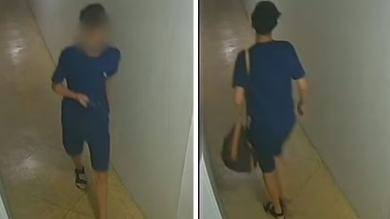 Adolescente é suspeito de furtar R$ 650 mil de apartamento no Rio