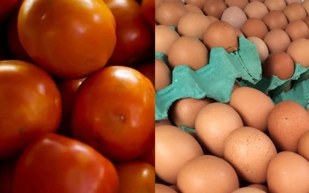 Saiba por que o preço do tomate e dos ovos de galinha dispararam