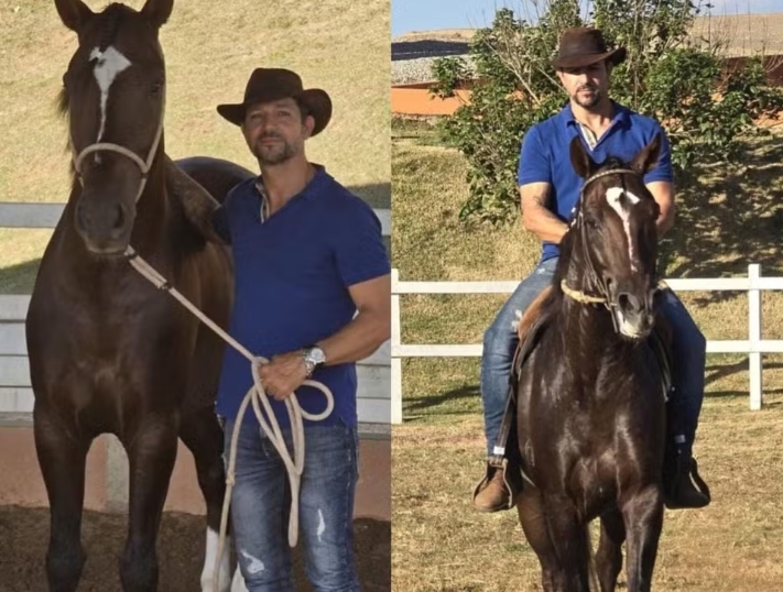 Em caso inédito, ração tóxica causa morte de ao menos 245 cavalos; entenda