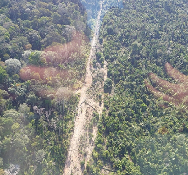 Região sul do Amazonas lidera em ramais clandestinos ao longo da BR-319