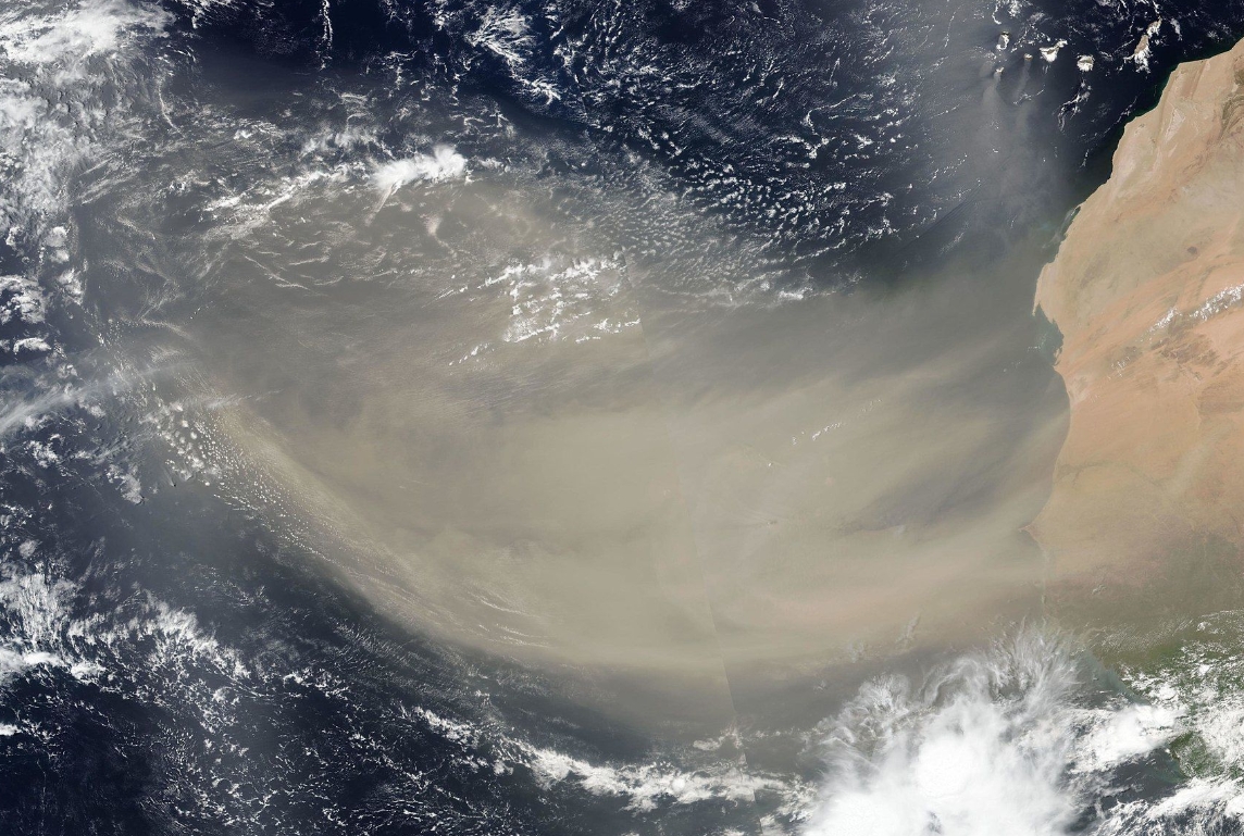 Poeira do Saara é detectada na Amazônia por torre de estudos do ar