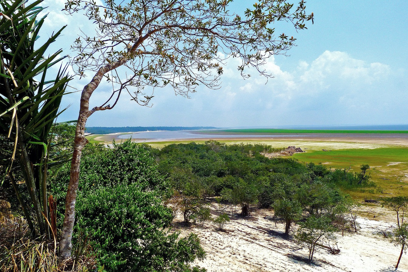 Mourão apresenta plano substituto à operação militar na Amazônia