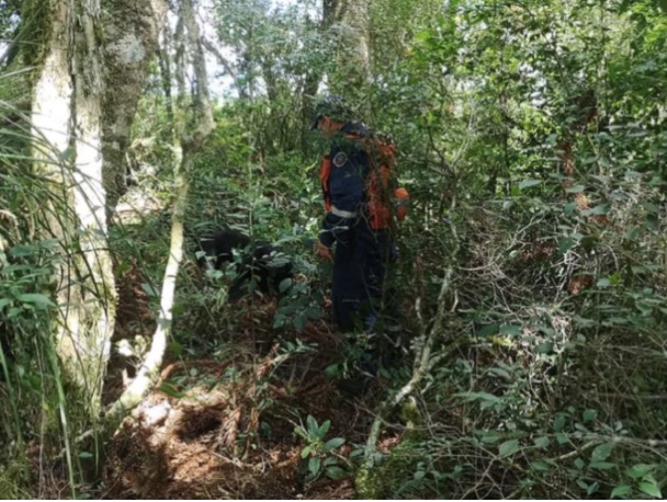 Adolescente desaparecida há 3 dias é achada morta amarrada em árvore