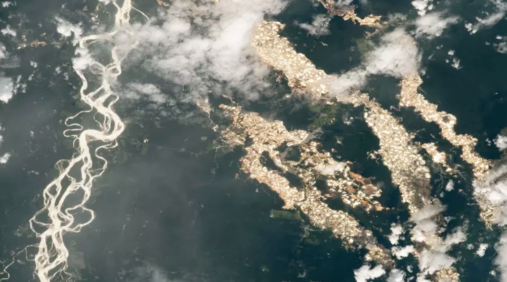 'Rios de ouro' na Amazônia são registrados pela Nasa; entenda