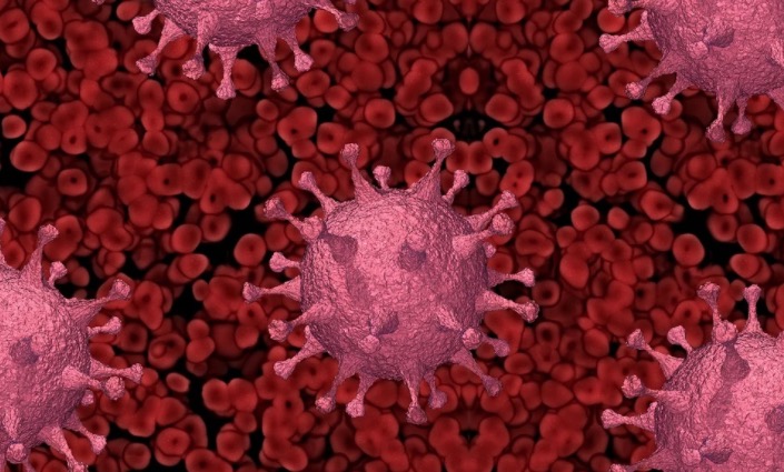 Variante peruana da Covid-19 é identificada no Brasil