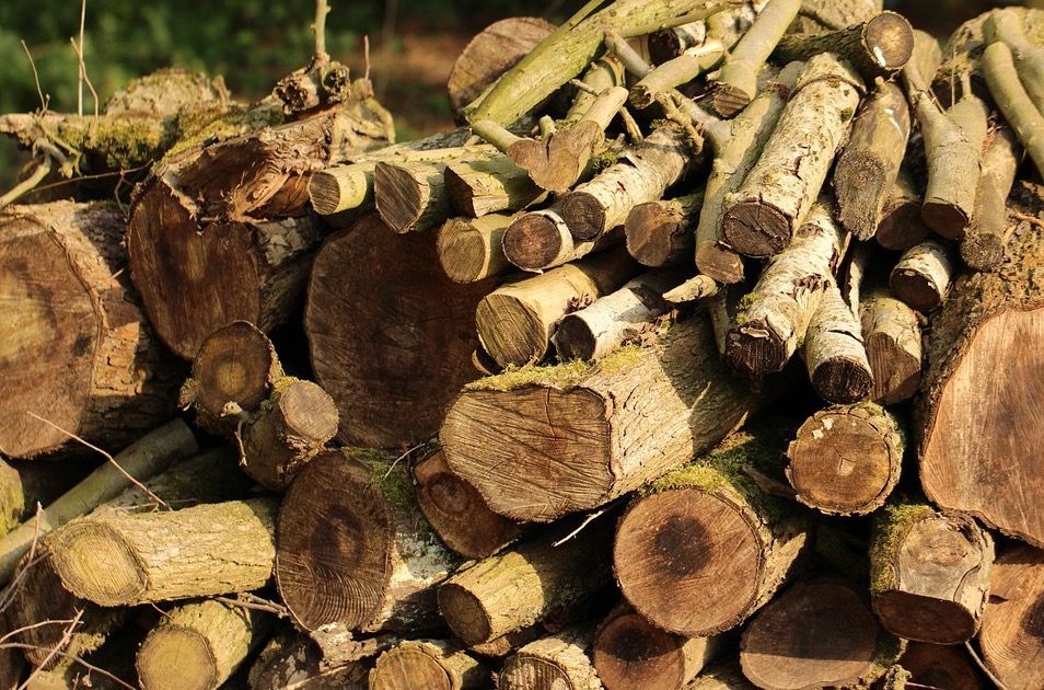 Indígenas processam rede francesa por desmatamento na Amazônia