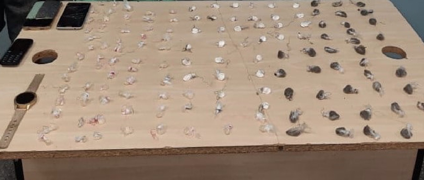 Dois são presos com mais de 100 porções de drogas na zona Norte de Manaus 