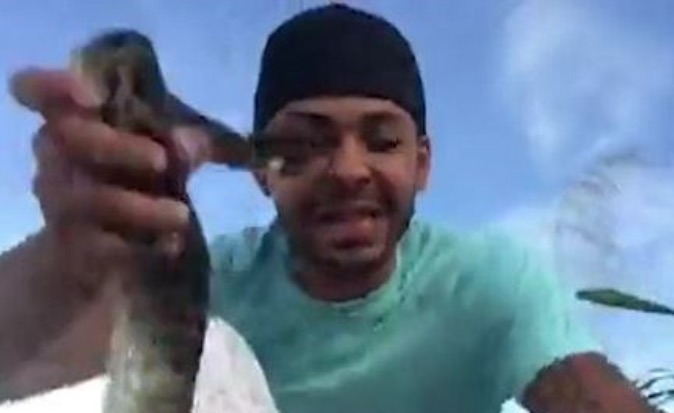 Homem grava vídeo mostrando píton capturada e o pior acontece; veja