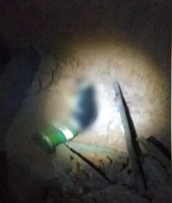 Homem é preso suspeito de matar cadela a pauladas