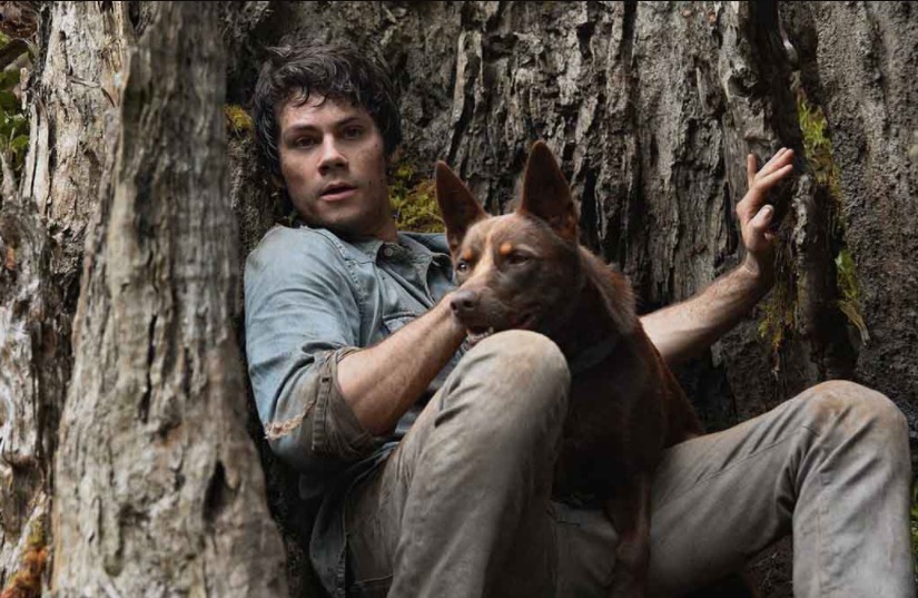 Dylan O'Brien luta contra insetos gigantes em comédia pós-apocalíptica