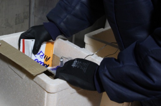 34 municípios do Amazonas ainda não enviaram dados de vacinação ao TCE 