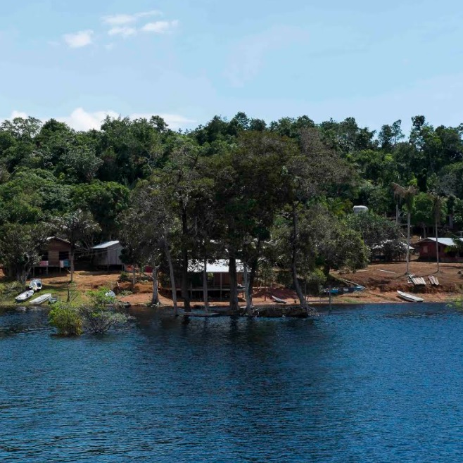 Eventos online e gratuitos celebram o Dia Internacional da Terra