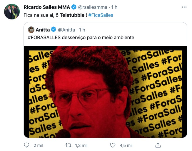 Salles chama Anitta de 'Teletubbie' após funkeira pedir saída do ministro 