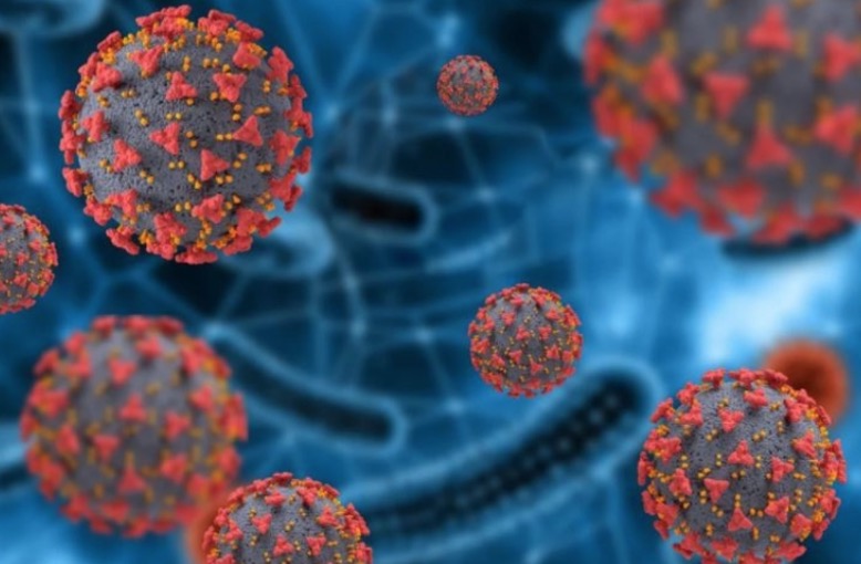Estudo sobre variantes indica que P1, descoberta em Manaus, predomina no RJ