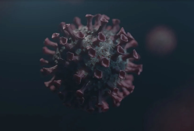 Variante sueca do coronavírus é identificada pela primeira vez em SP 