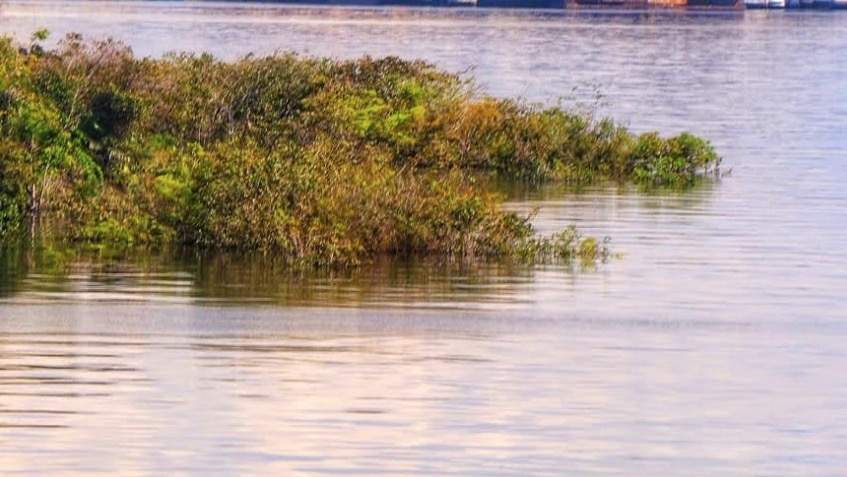 Cheia em Novo Airão deve ser a maior dos últimos 100 anos