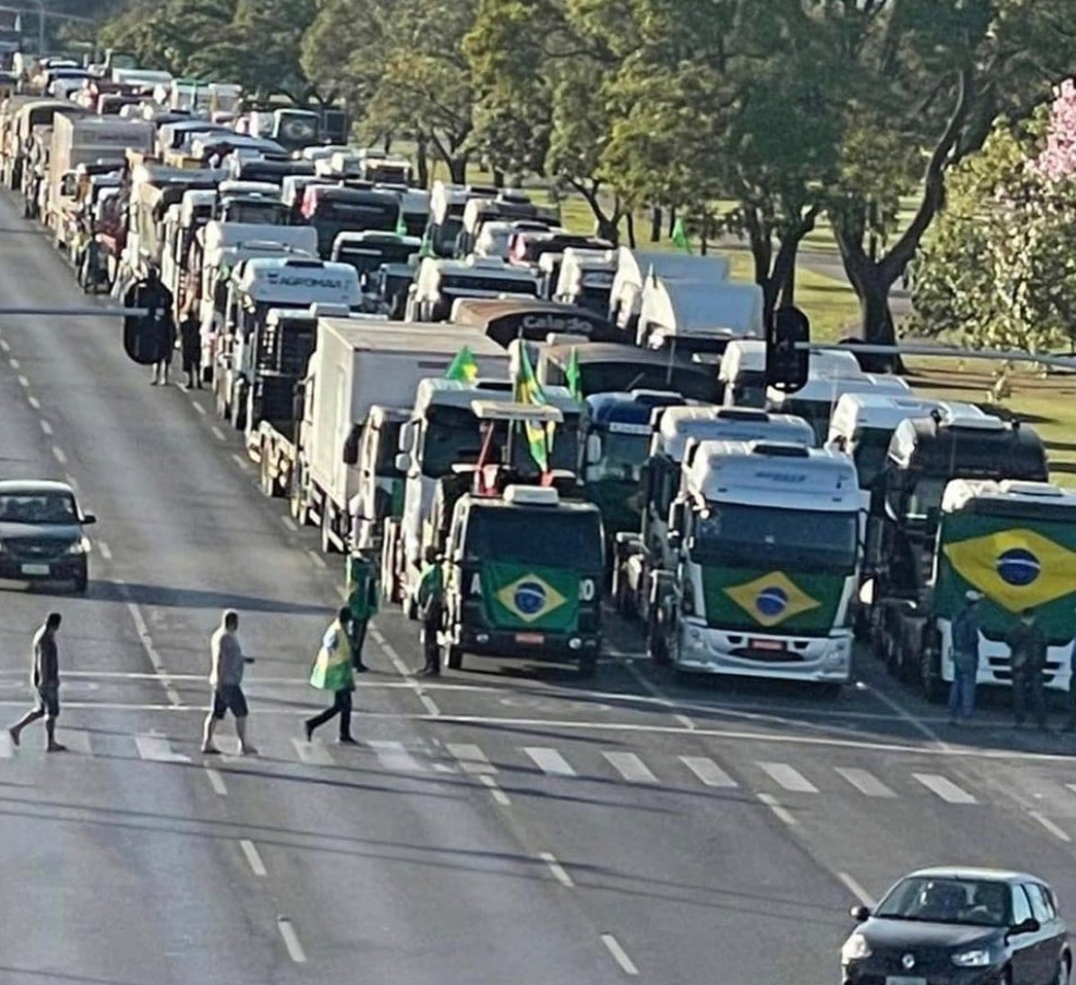 Manifestações pró-Bolsonaro reúnem multidão em Brasília 