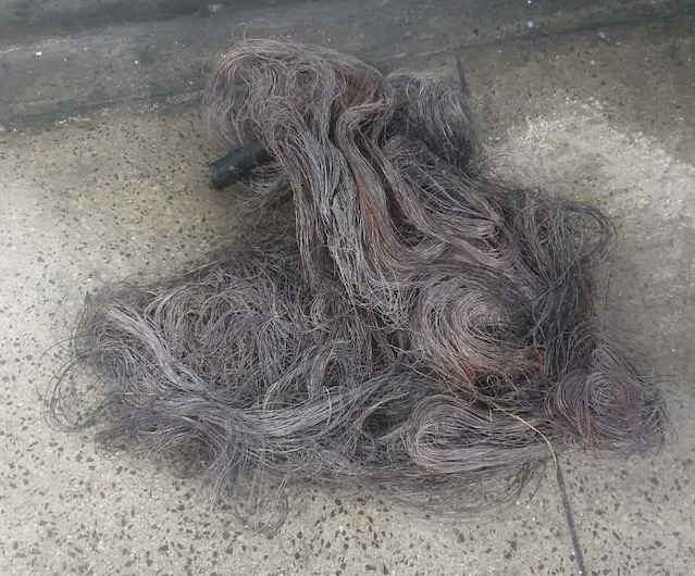 Homem é preso por furtar cabos telefônicos em Manaus 