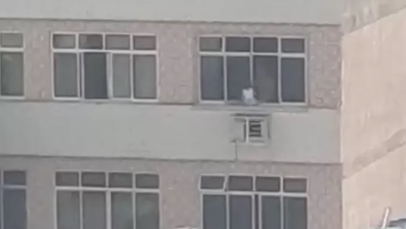 Menina de 2 anos é colocada do lado de fora da janela de prédio no Rio