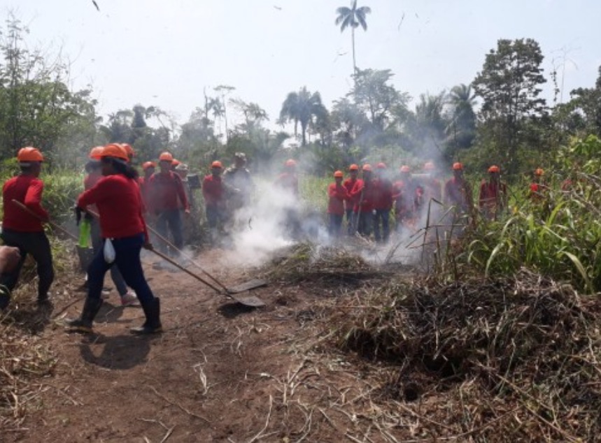 Secretaria de Meio Ambiente abre 240 bolsas para brigadistas no Amazonas