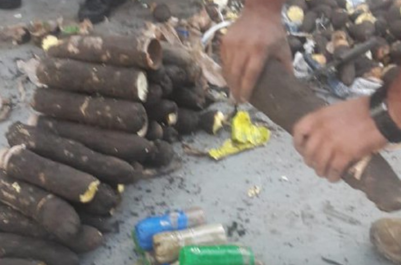 Sacos de macaxeira recheada com droga são apreendidos no Amazonas