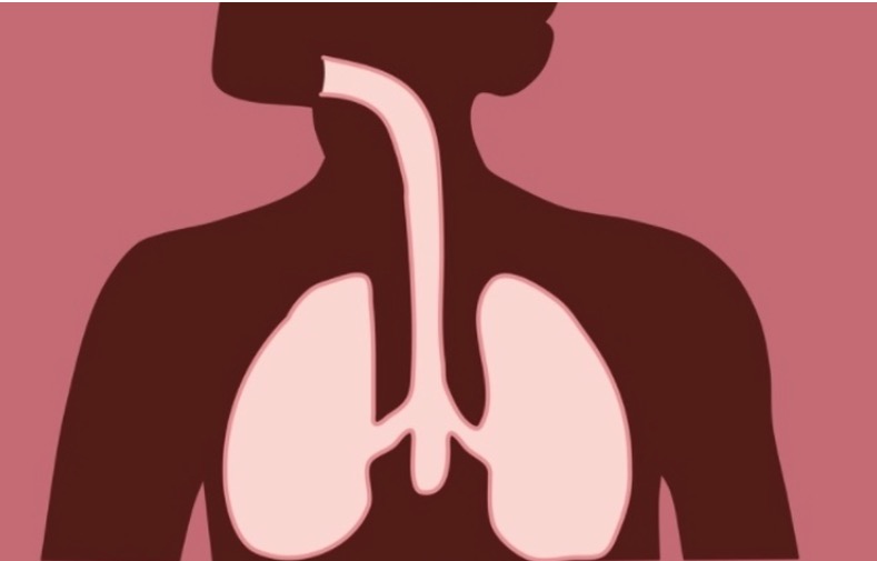 Amazonas e Acre têm alta de casos de Síndrome Respiratória, aponta Fiocruz