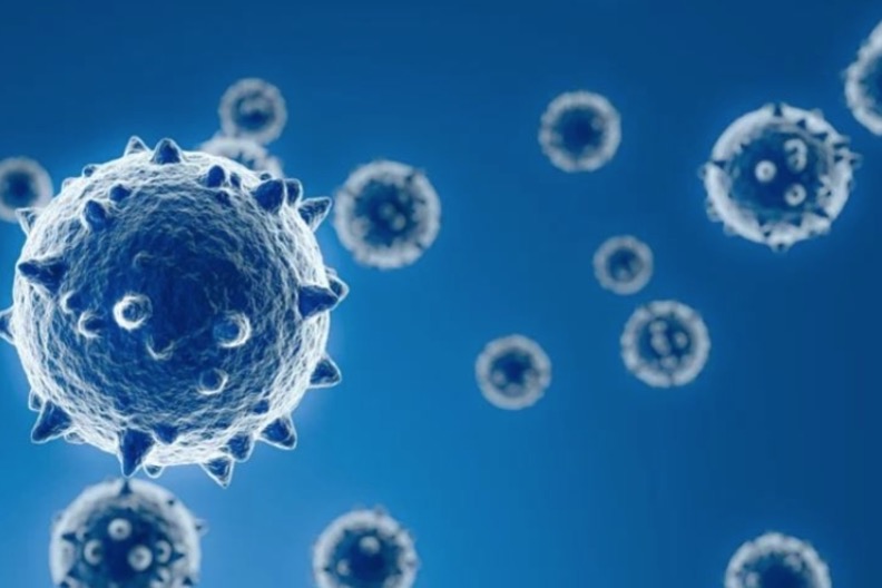 Variante Delta é registrada em 13 estados e no Distrito Federal 