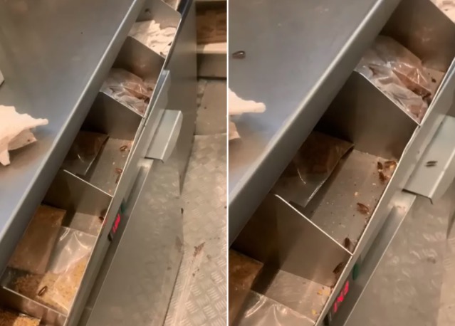 Vídeo mostra quiosque de sorvetes do McDonald's infestado de baratas
