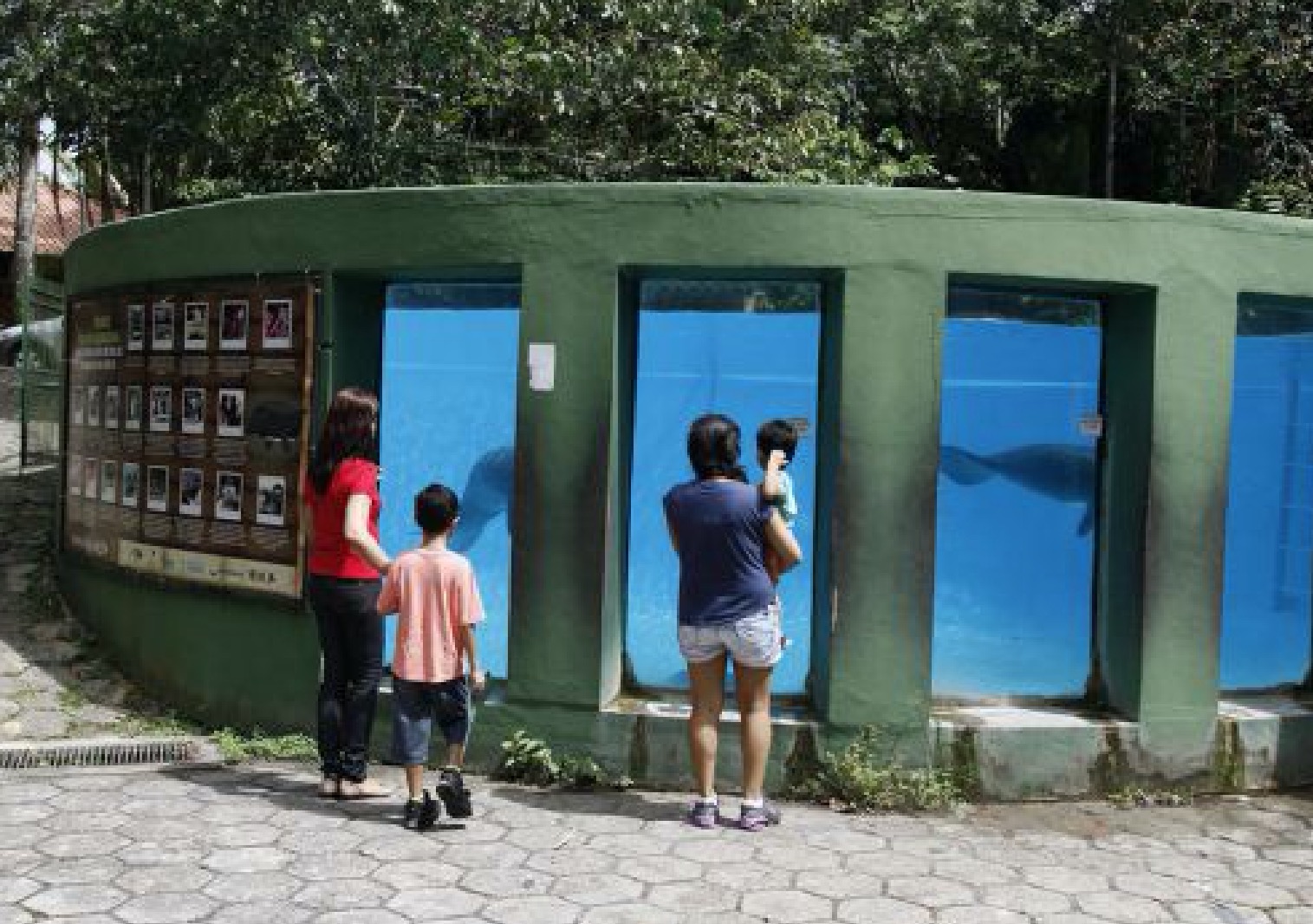 Inpa celebra dia da Amazônia com debate sobre conservação
