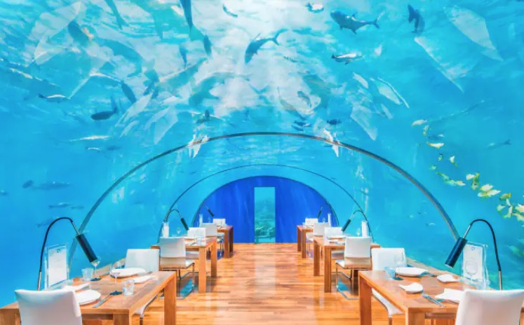 Conheça restaurantes submersos no oceano de cenário encantador