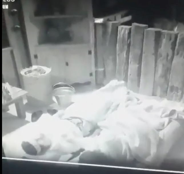 A Fazenda 13: Rico finge convulsão e assusta peões na baia 