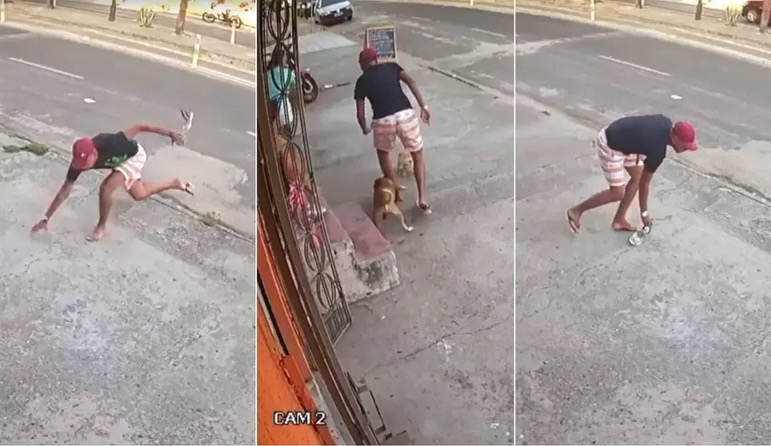 Criminoso desiste de assalto ao ser mordido por cachorro e quebrar chinela