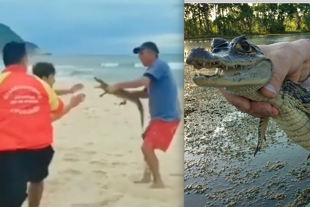 Homem usa jacaré para ameaçar pessoas durante briga na Praia da Macumba