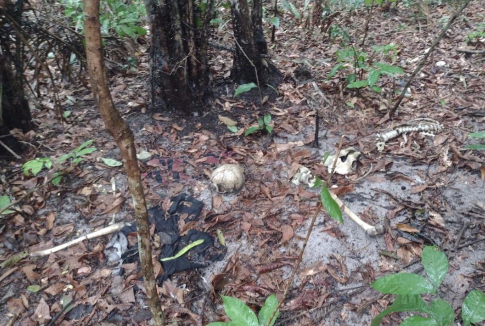 Ossada humana é encontrada em área de mata atrás de hospital de Manaus