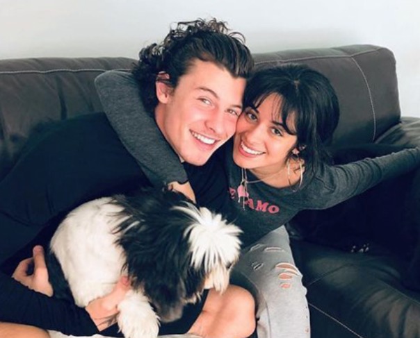Shawn Mendes lança música sobre Camila Cabello e fãs reagem 